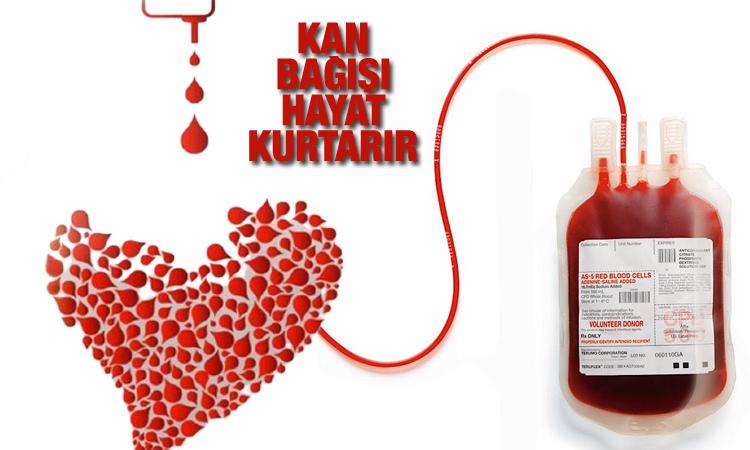 Kan Vermenin Faydaları Nelerdir