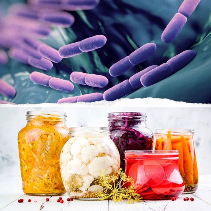 Probiyotiklerin Faydaları ve Zararları Nelerdir?