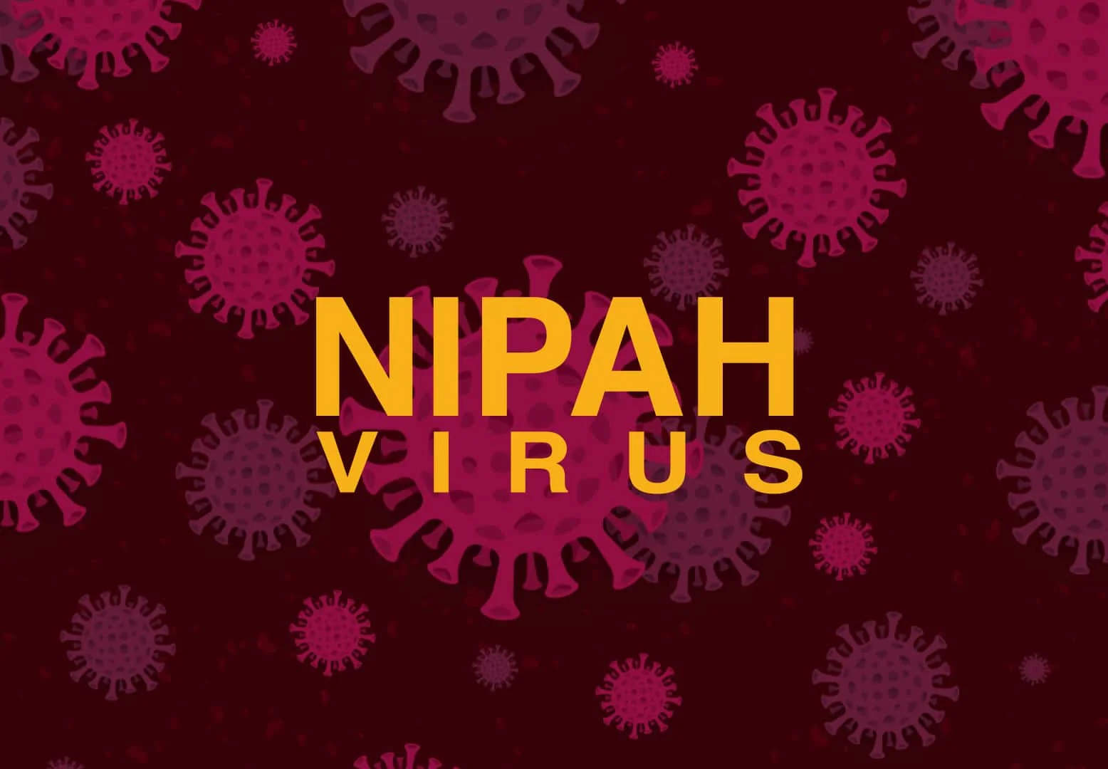 Understanding Nipah Virus: Risks, Symptoms, and Prevention